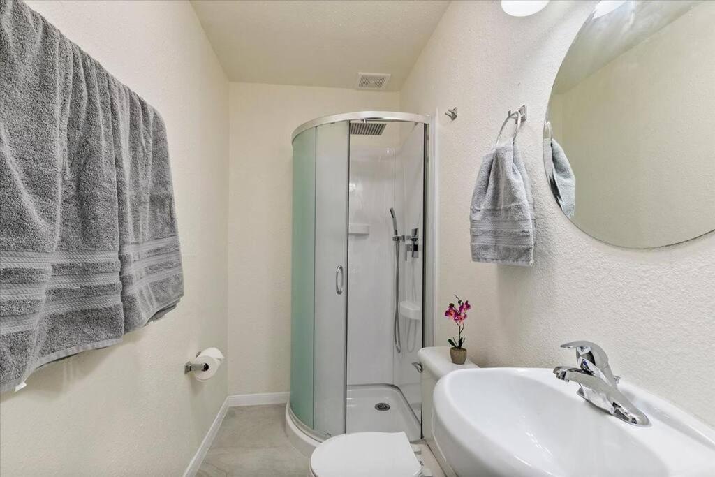 Lucky House - Tranquility In The Middle Of Houston - Tv In Every Room - 300 M2 Luaran gambar